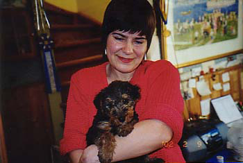 Iris Med welshvalp